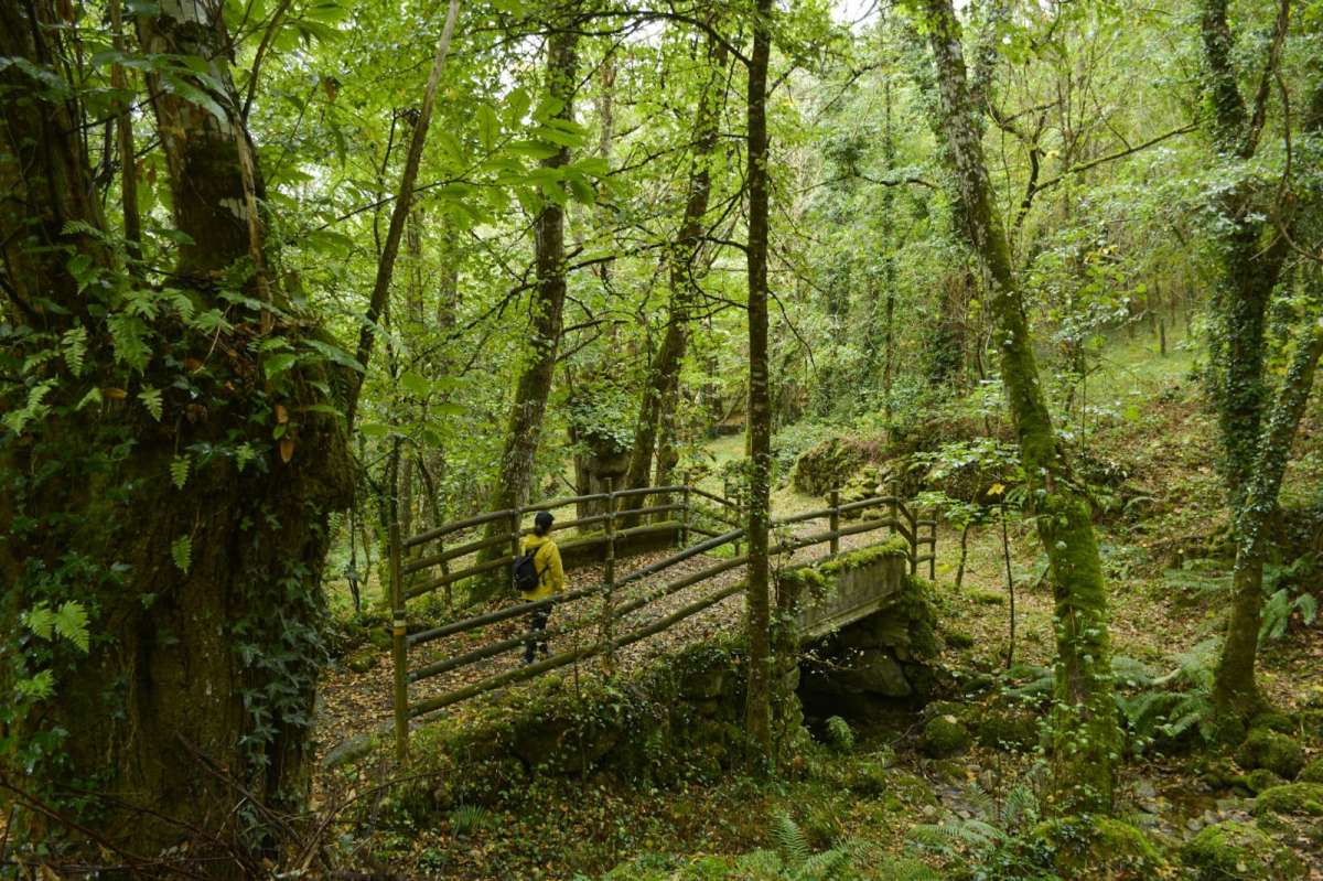 Ruta do cañón do Sil-Santa Cristina