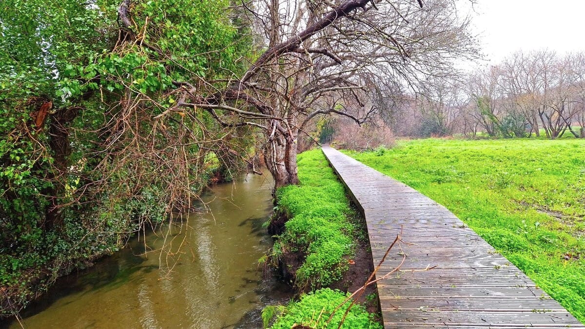 Senda do río de Artes