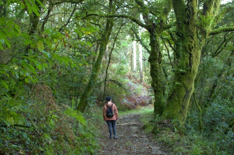 Ruta das Penicias en Rois: tradición y naturaleza
