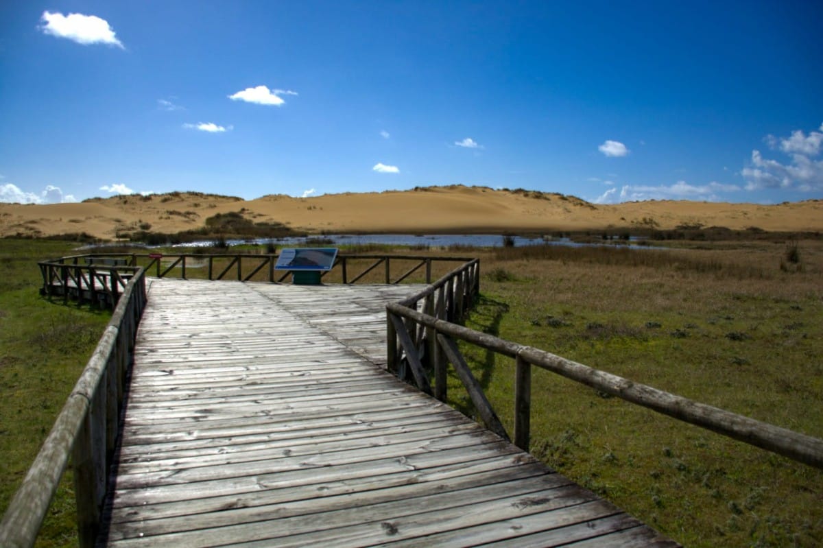 Parque Natural de Corrubedo. Duna de Corrubedo.