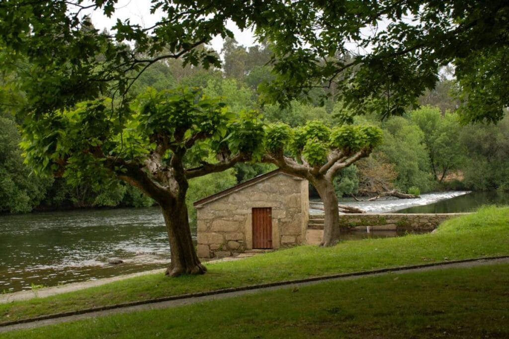 Playa fluvial de Tapia, Ames