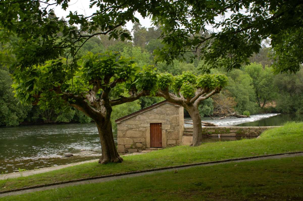Playa fluvial de Tapia, Ames
