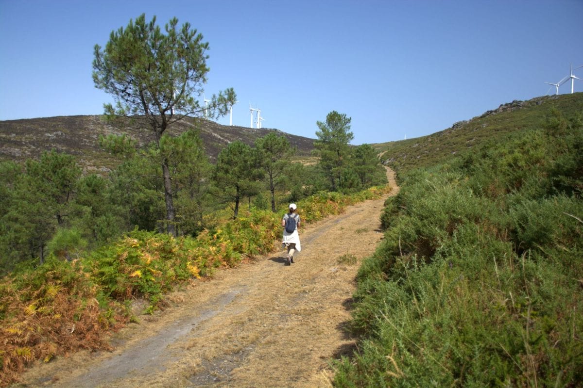 Ruta Alto das Torres e Alto da Lagoa