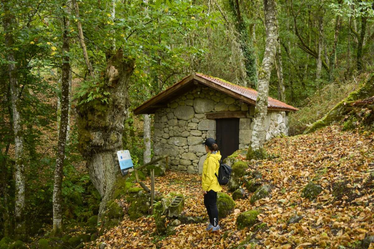 Rutas Ribeira Sacra