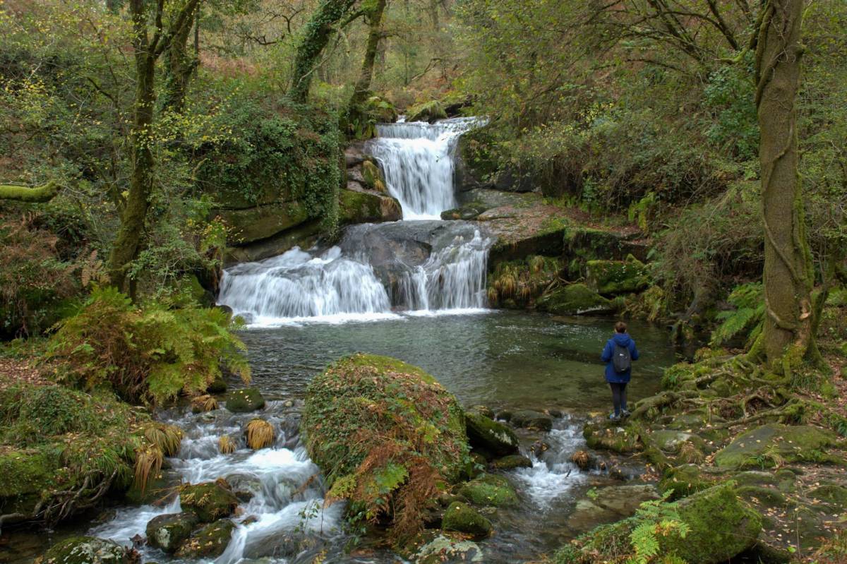 Fervenza de Pozo Machado.