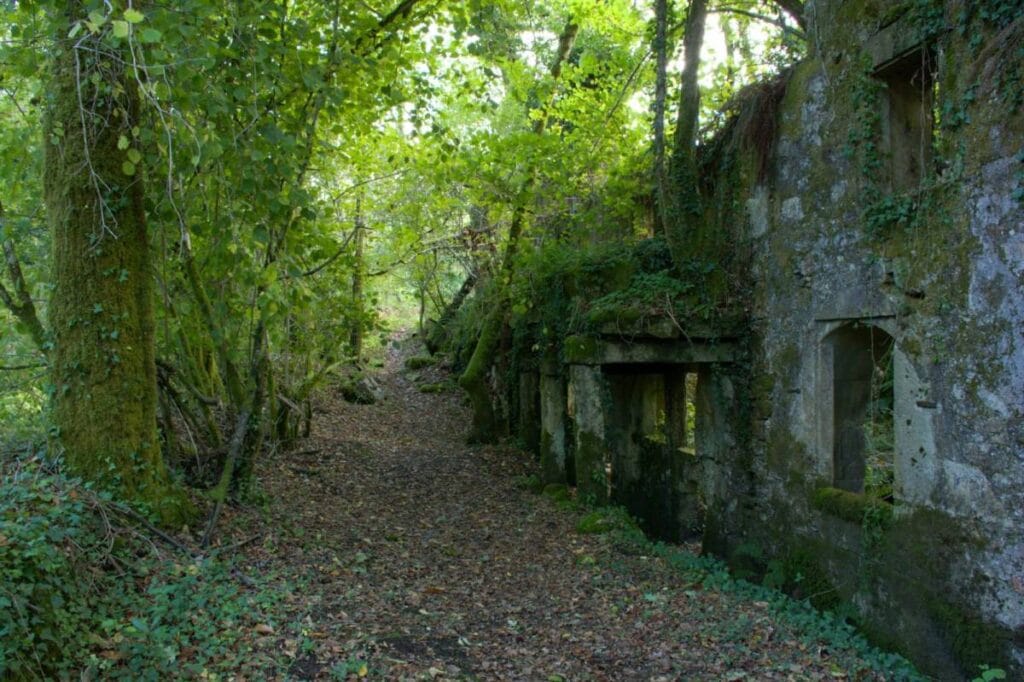 Papelera A Galiñeira
