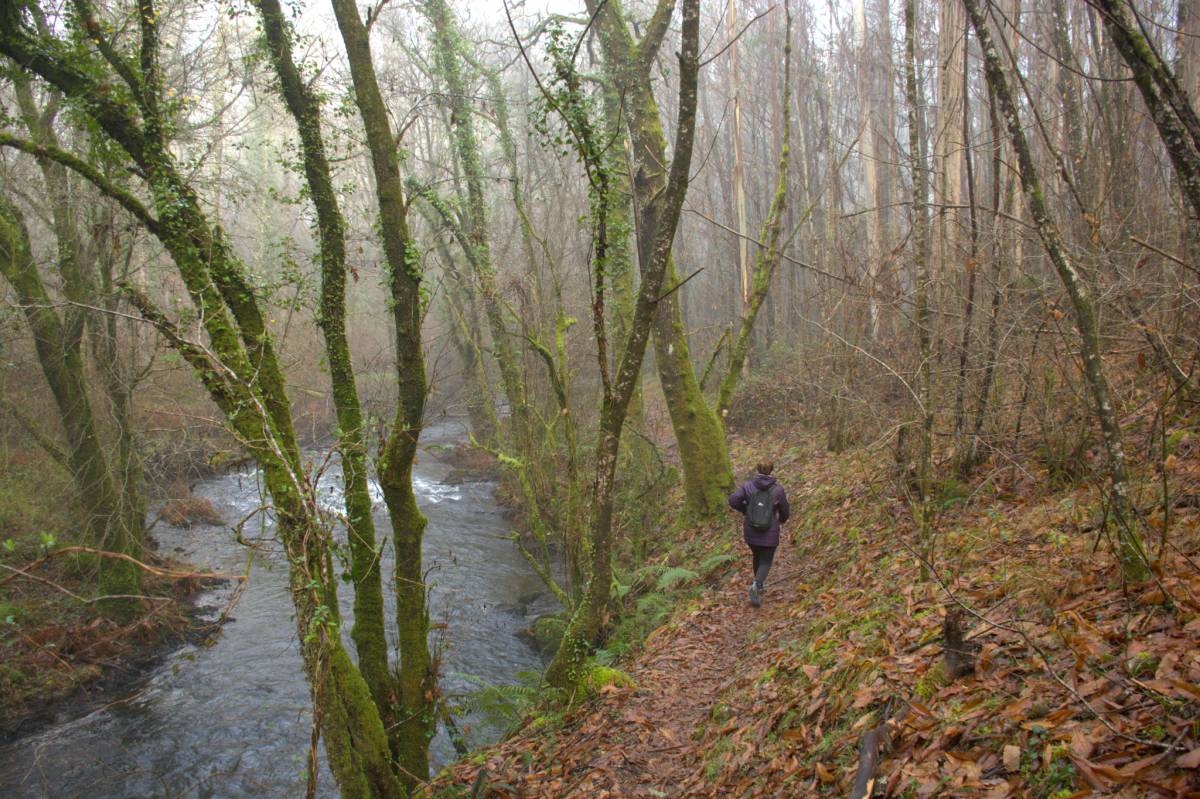 Ruta dos Tres Ríos, Touro