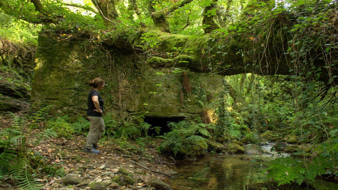 Ruta dos muiños de Esteiro