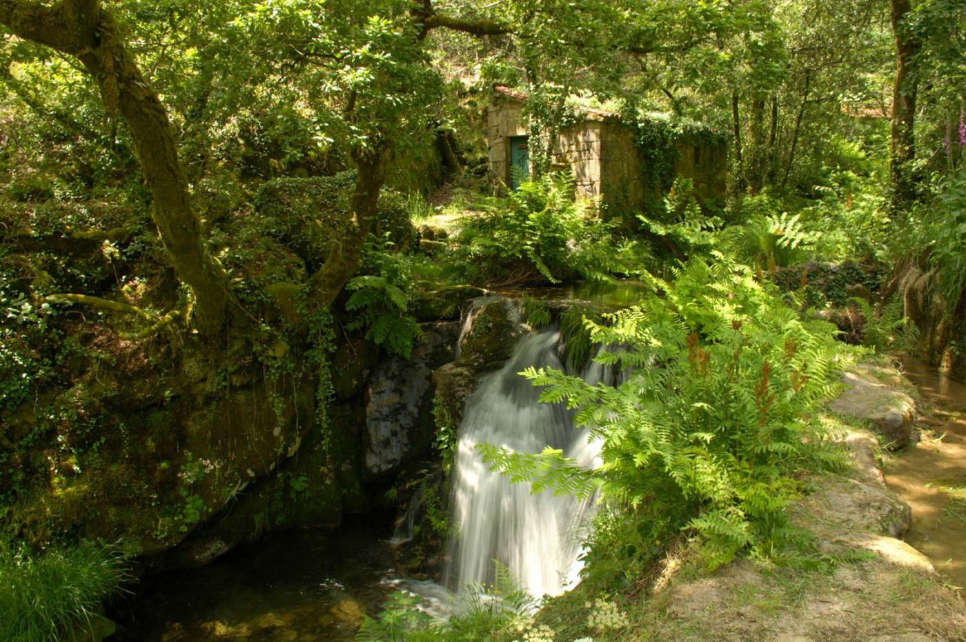 Ruta dos muiños do río Tripes.